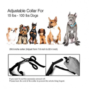 Електрошийник для тренування собак 2 в 1